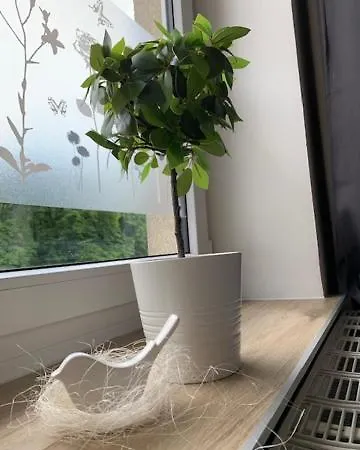 Luxor Appartement Česká Lípa