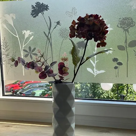 Apartman Luxor Česká Lípa