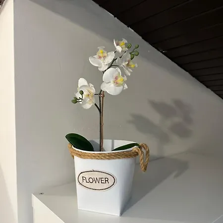Apartman Luxor