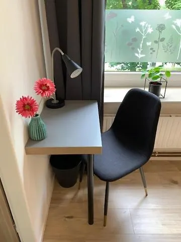 Luxor Česká Lípa